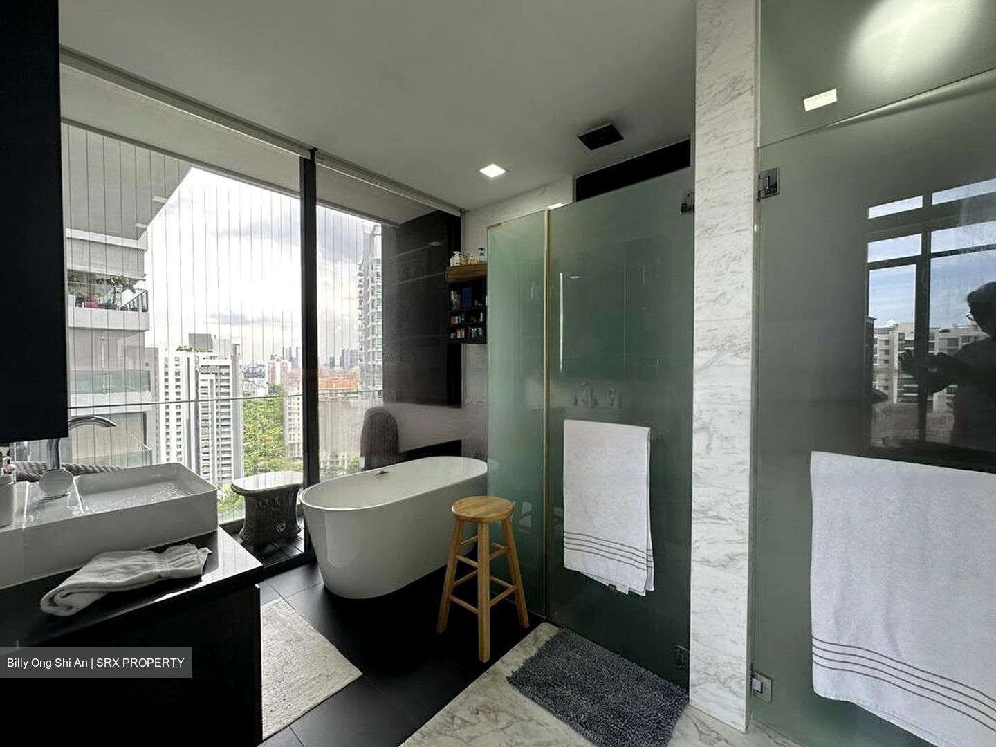 The Trizon (D10), Condominium #461554361